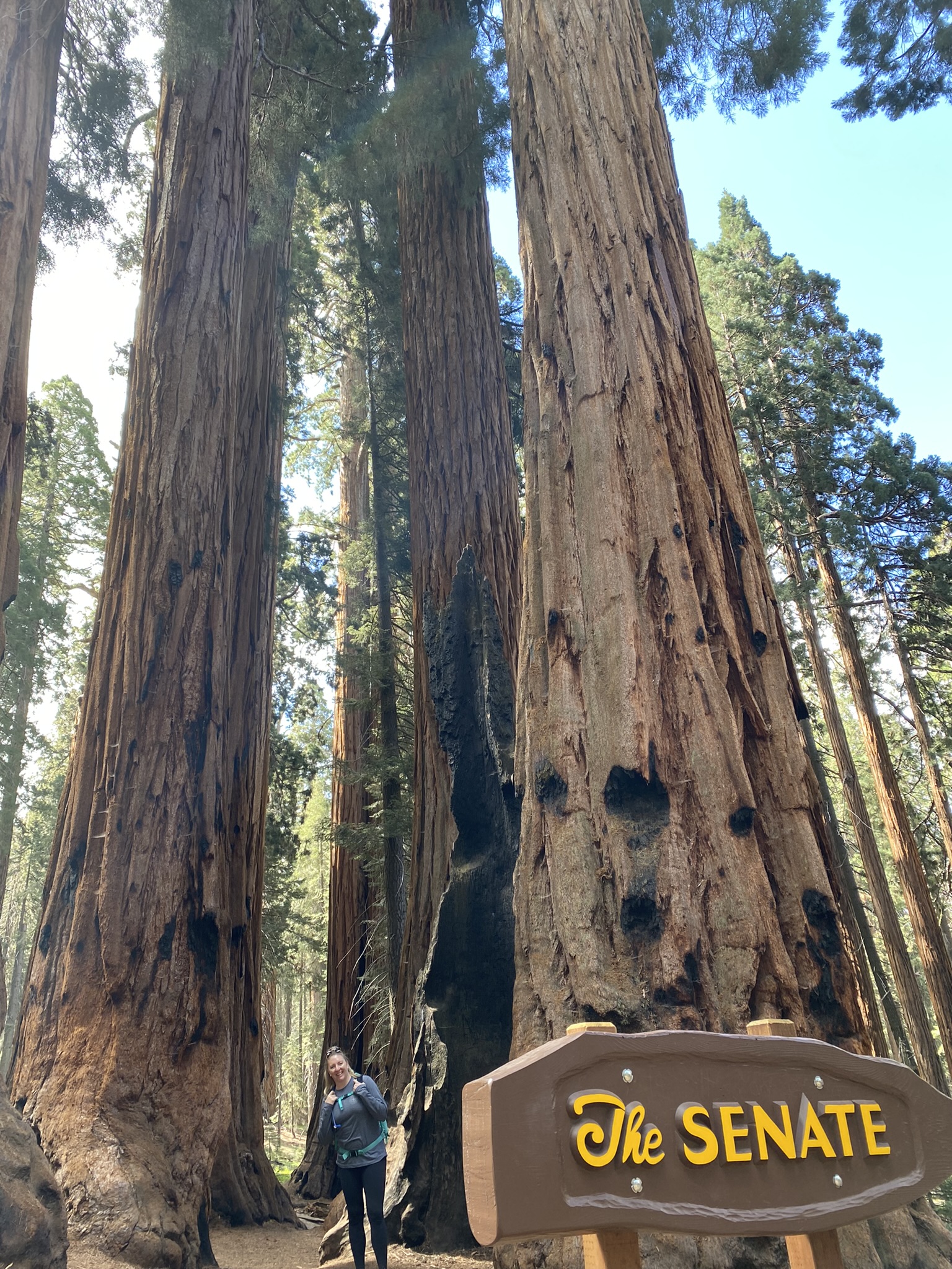 Congress Trail in Sequoia National Park